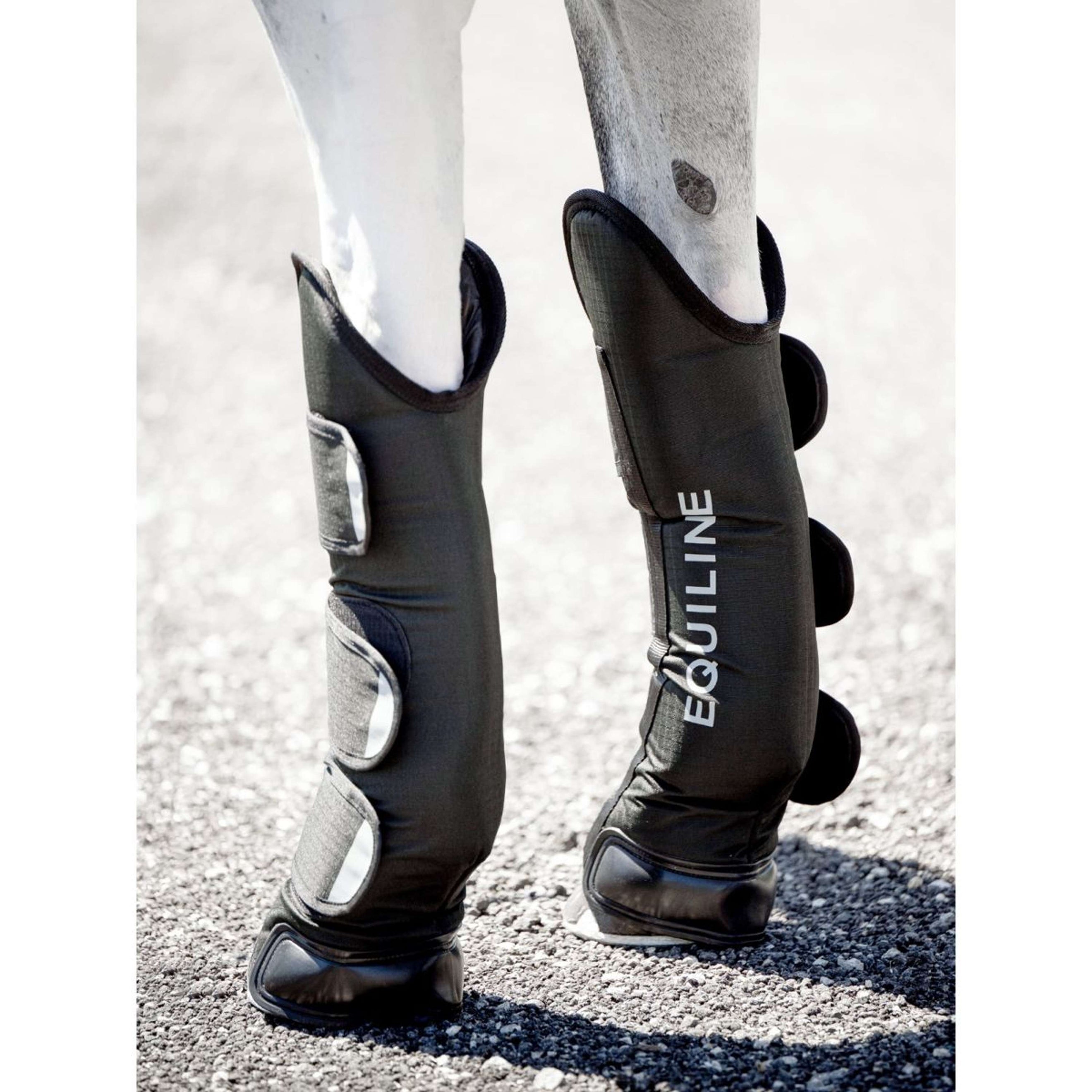 Equiline Transportgamaschen Rex Schwarz Equiline Transportgamaschen Rex Schwarz