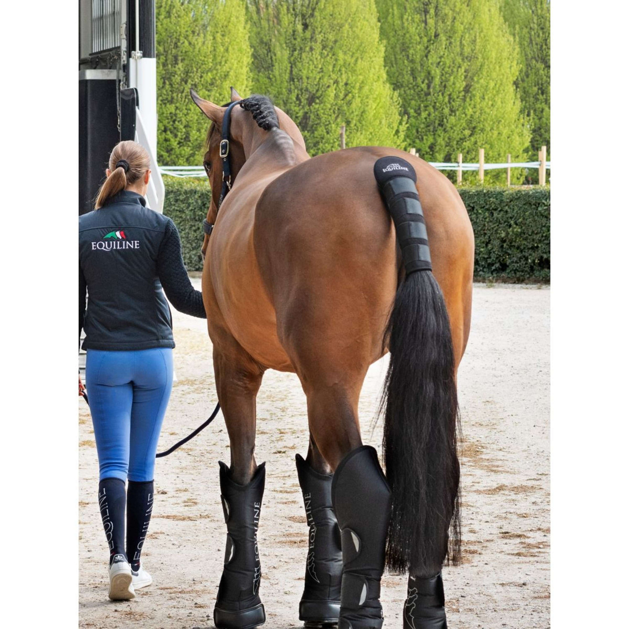 Equiline Schweifschoner Noll Schwarz Equiline Schweifschoner Noll Schwarz