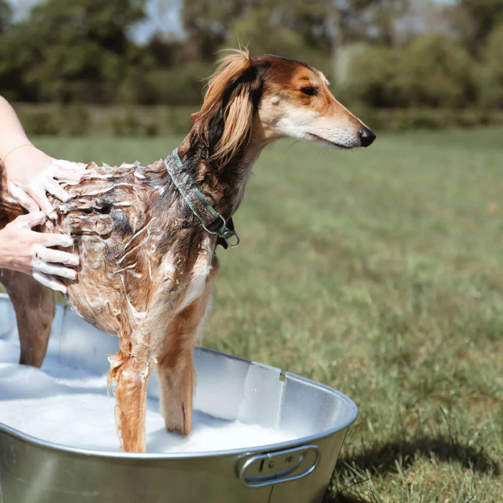 Equine America Shampoo Oat-So-Soothing Natürlich