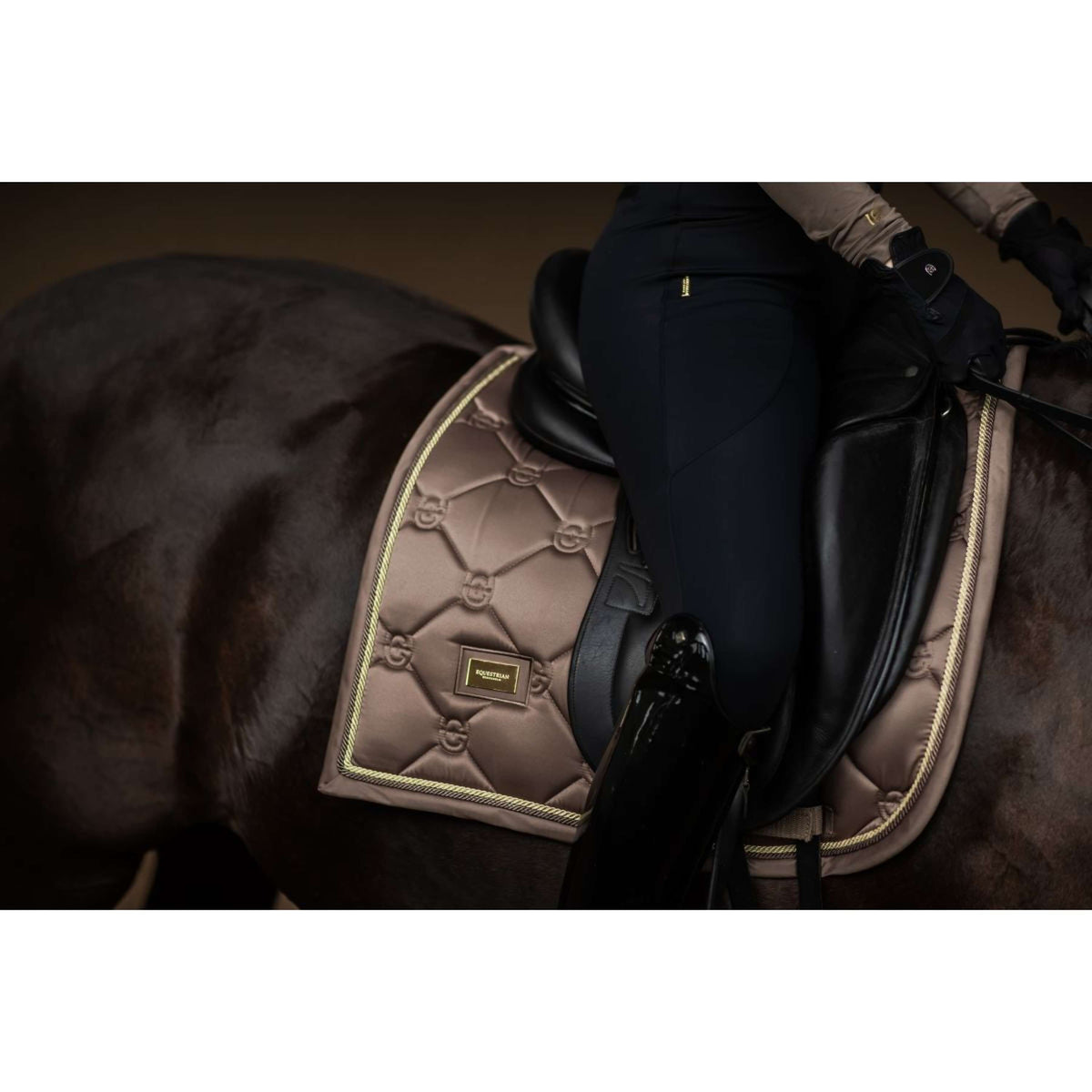 Equestrian Stockholm Schabracke Dressur Champagne