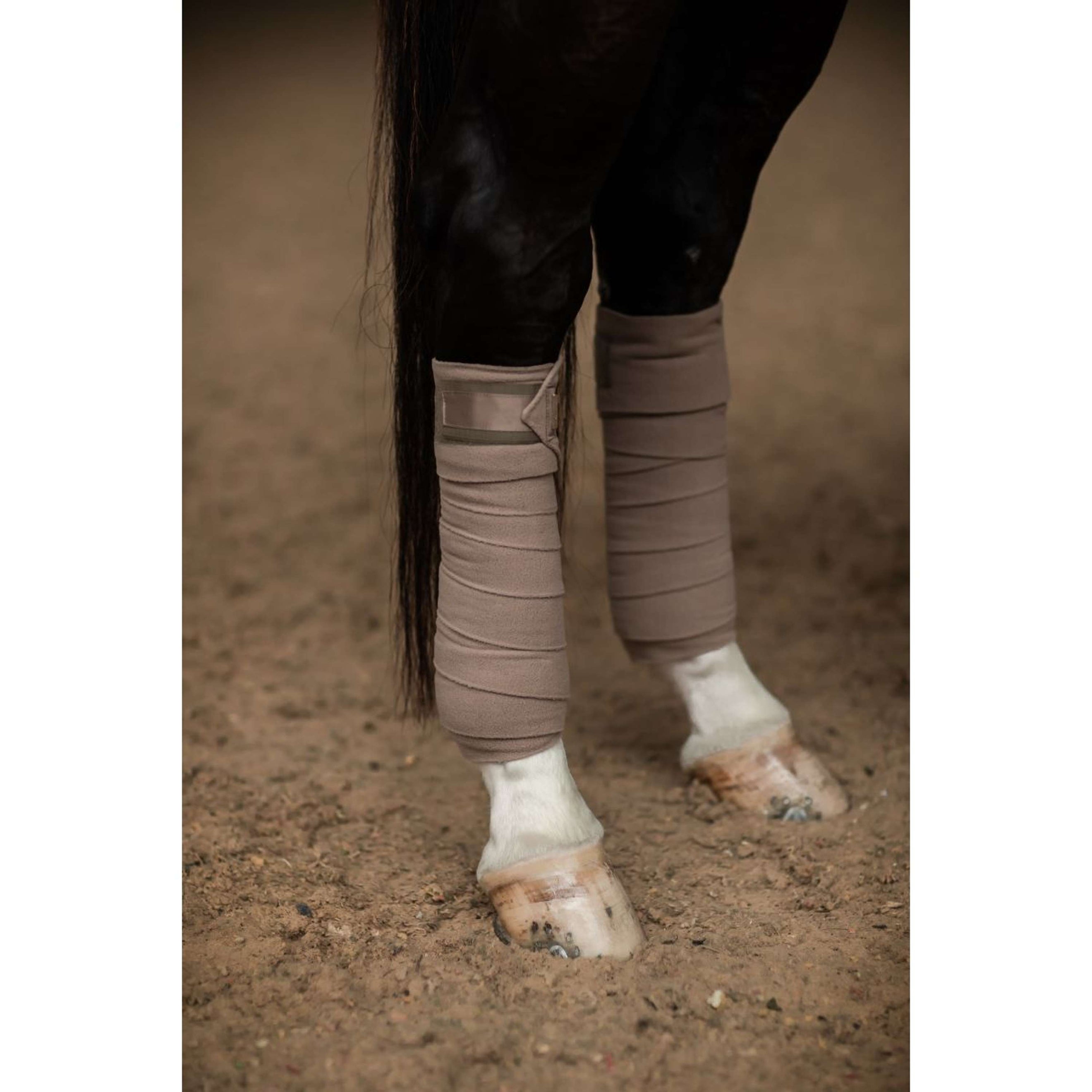 Equestrian Stockholm Bandagen Champagne Equestrian Stockholm Bandagen Champagne