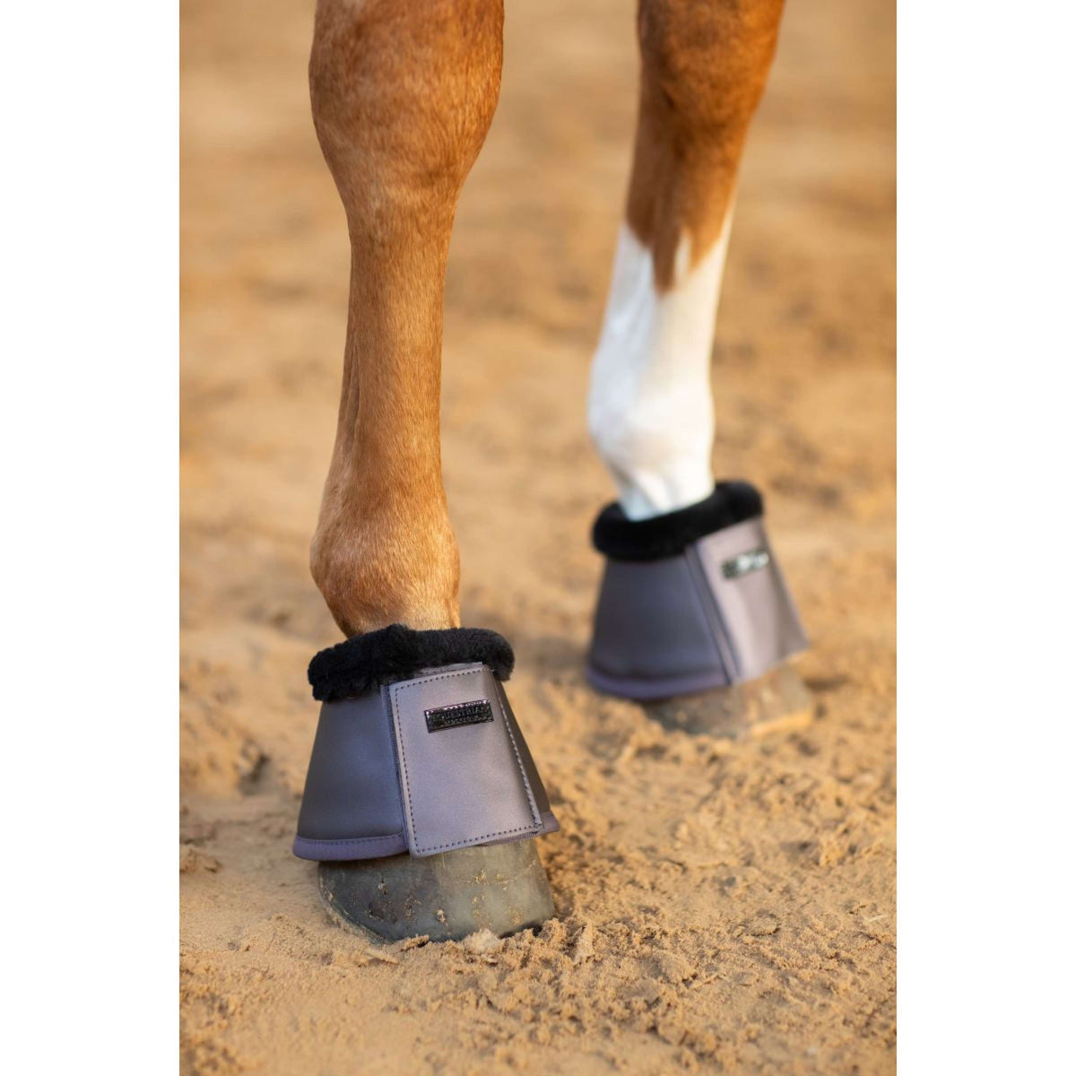 Equestrian Stockholm Hufglocken Dark Violet