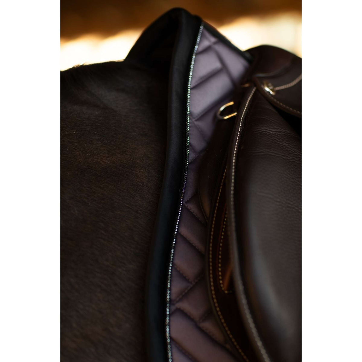 Equestrian Stockholm Schabracke Modern Dressur Dark Violet