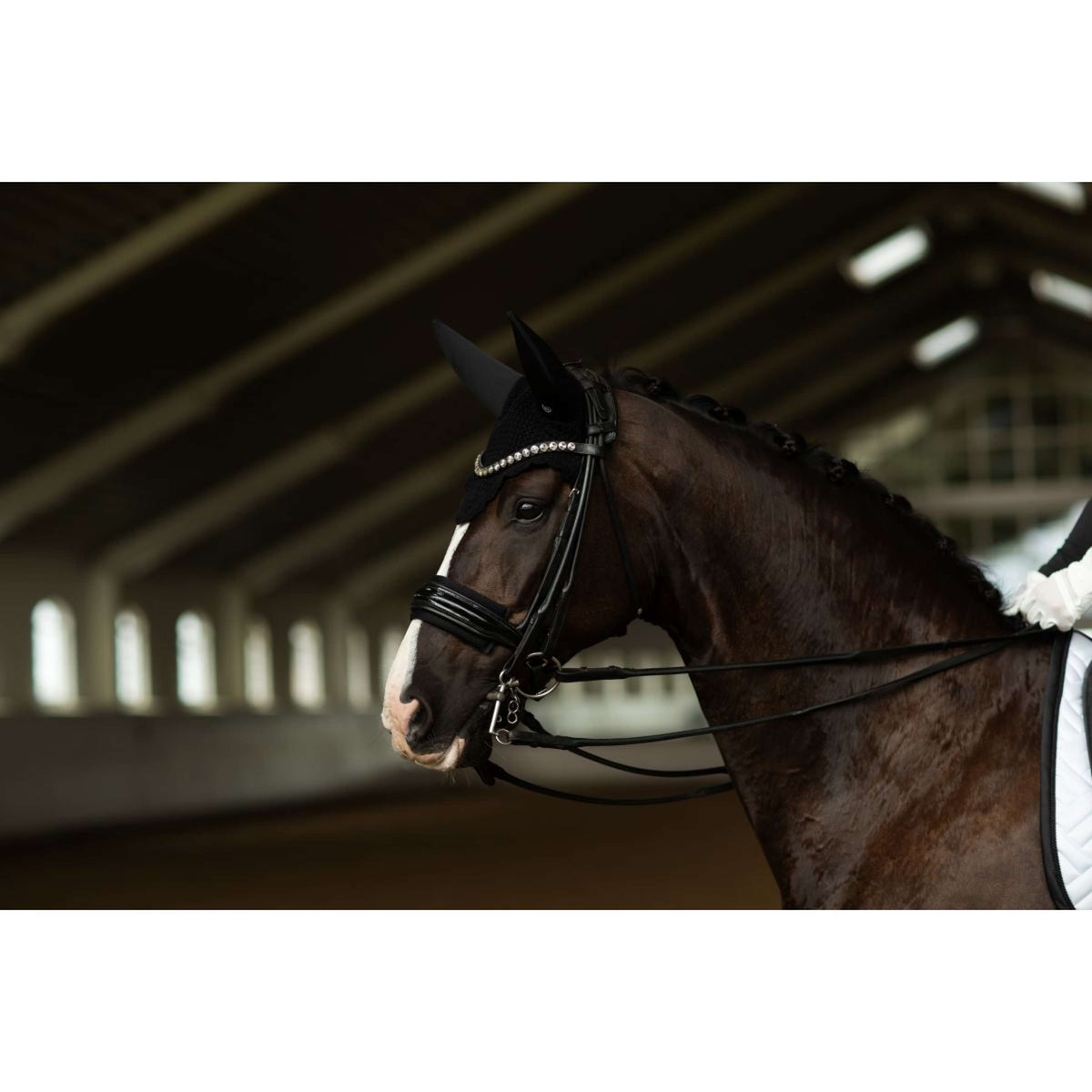 Equestrian Stockholm Fliegenhaube Padded Clean Black