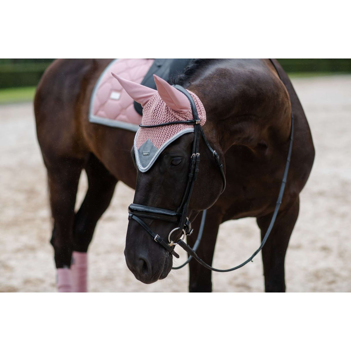 Equestrian Stockholm Schabracke Dressur Pink Pearl