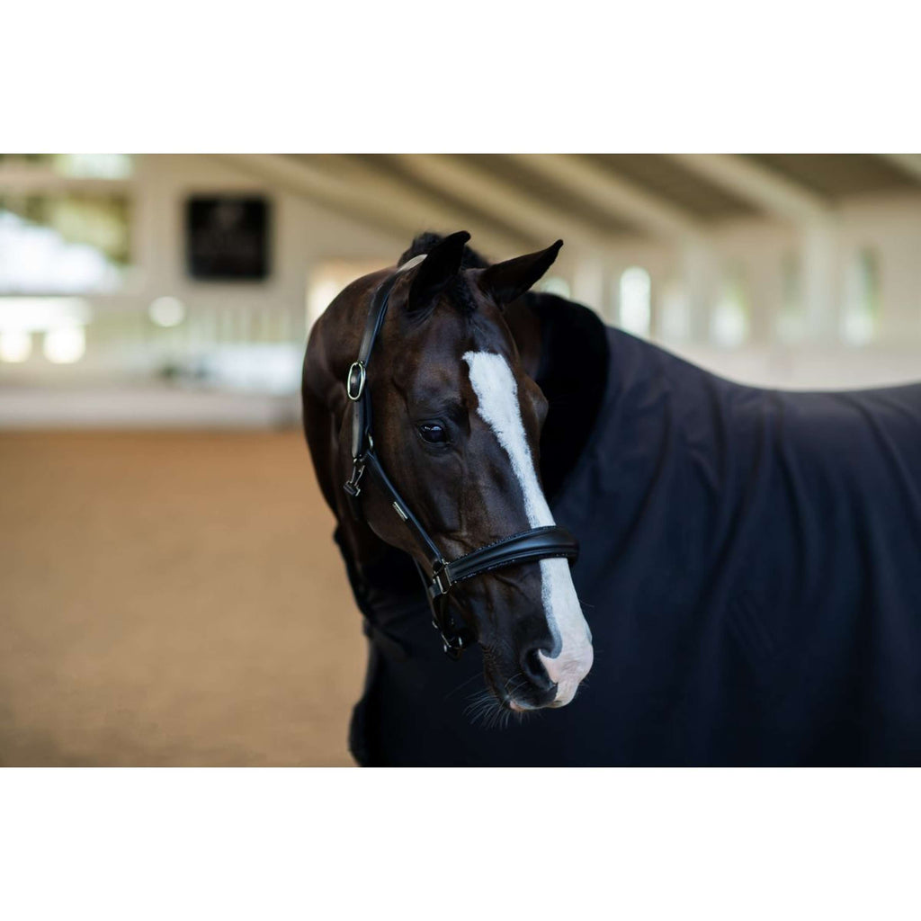 Equestrian Stockholm Halfter Glimmer Anatomic Leather Schwarz