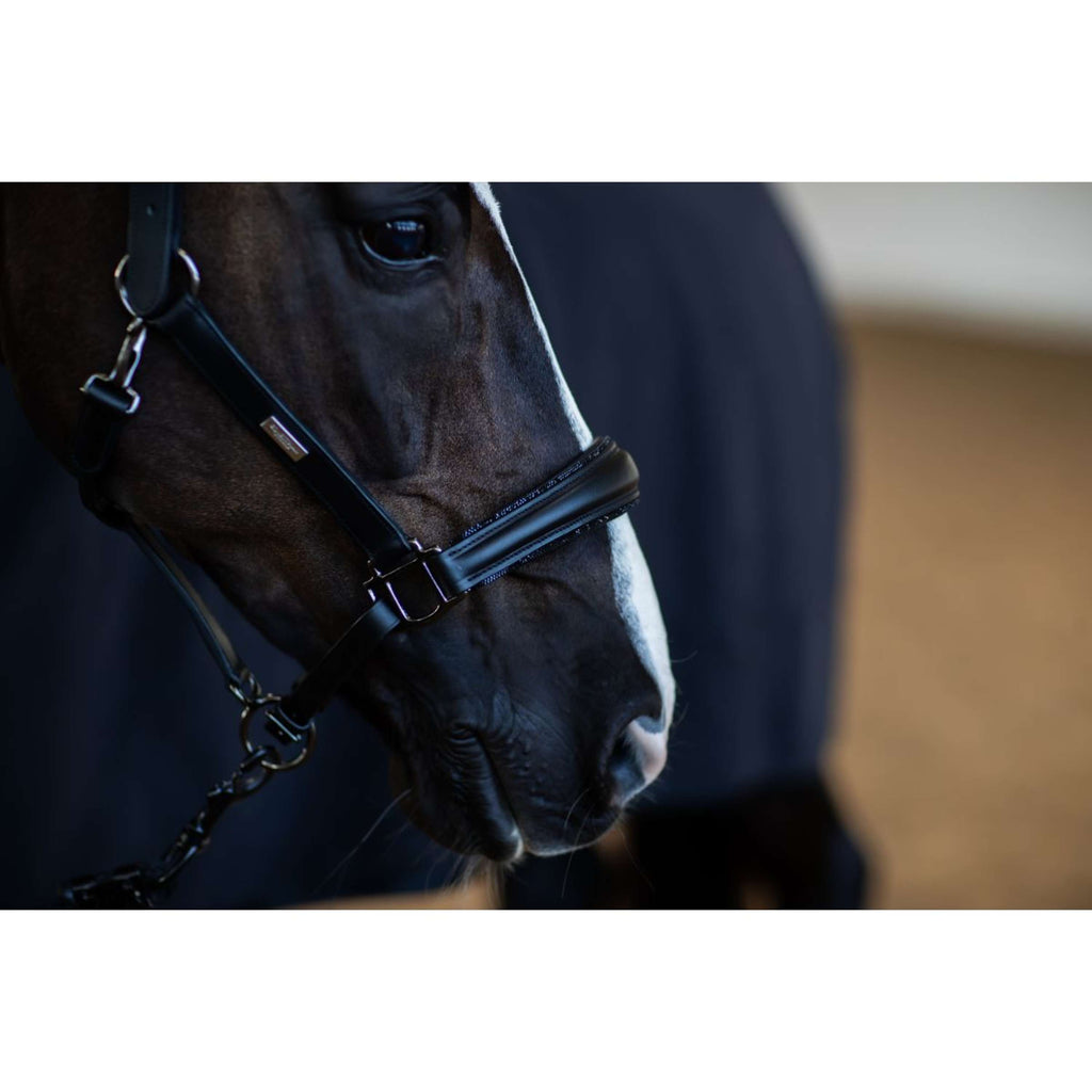 Equestrian Stockholm Halfter Glimmer Anatomic Leather Schwarz