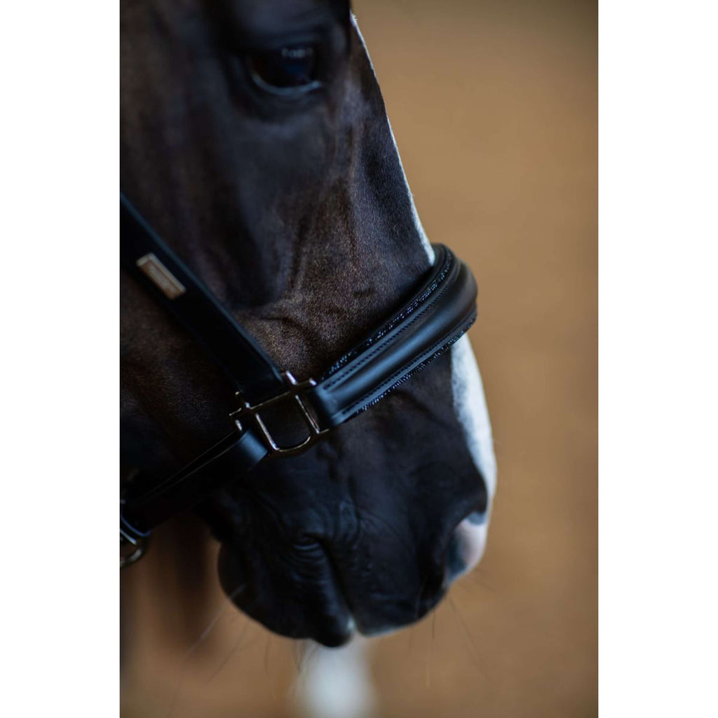 Equestrian Stockholm Halfter Glimmer Anatomic Leather Schwarz
