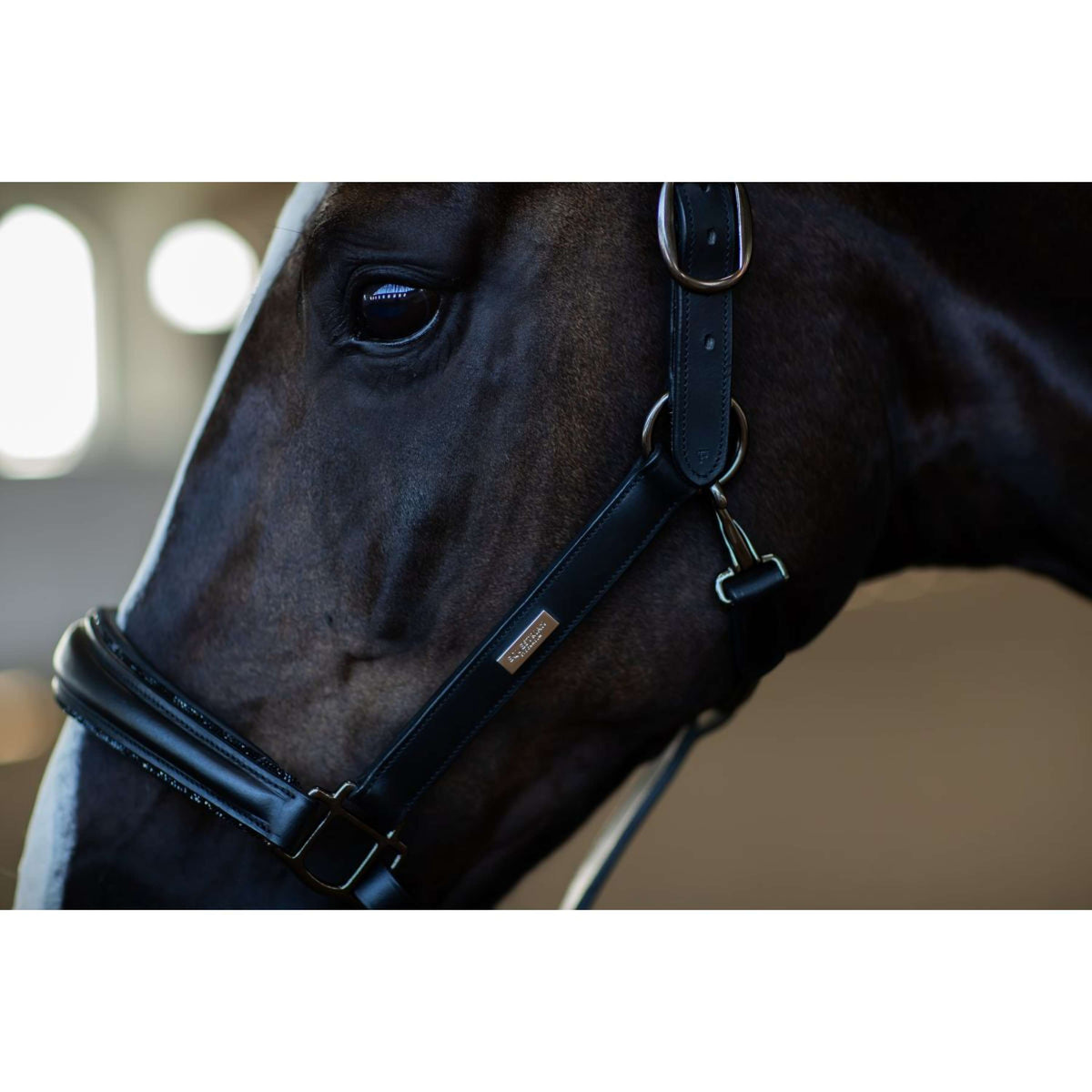 Equestrian Stockholm Halfter Glimmer Anatomic Leather Schwarz
