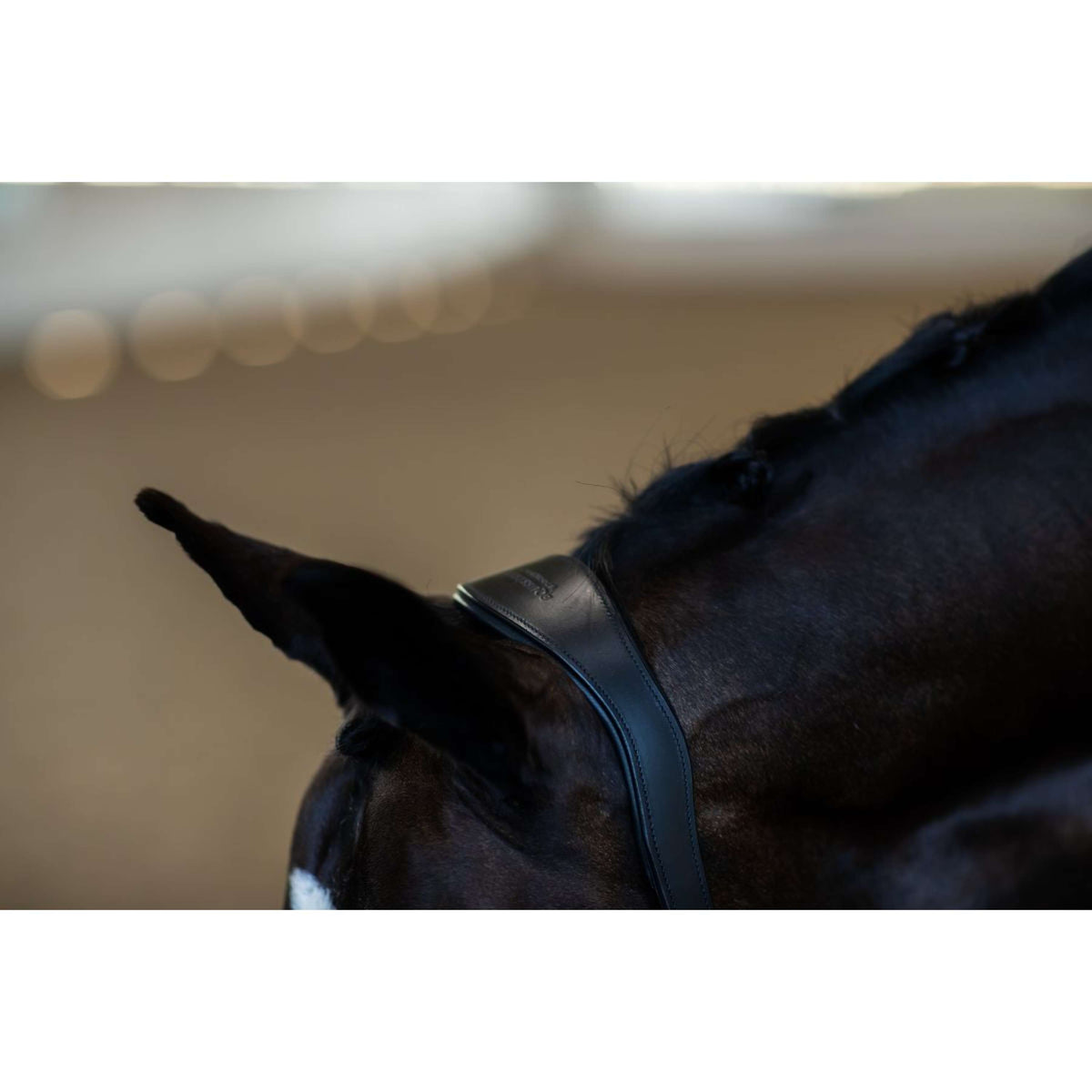 Equestrian Stockholm Halfter Glimmer Anatomic Leather Schwarz