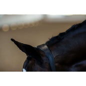 Equestrian Stockholm Halfter Glimmer Anatomic Leather Schwarz