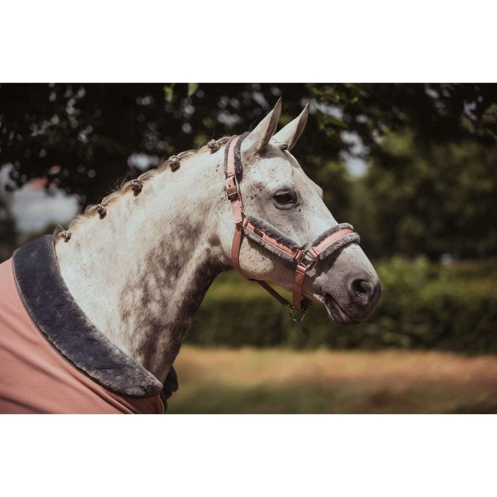 Equestrian Stockholm Fleecedecke Fur Rosa