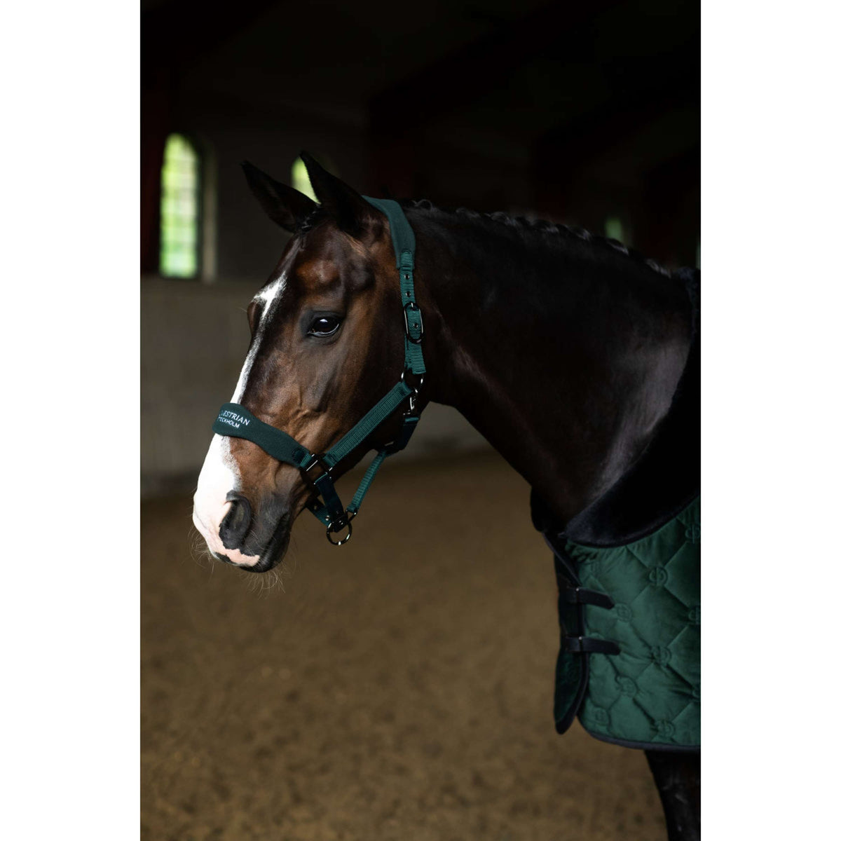 Equestrian Stockholm Halfter Anatomic Fleece Sycamore Green