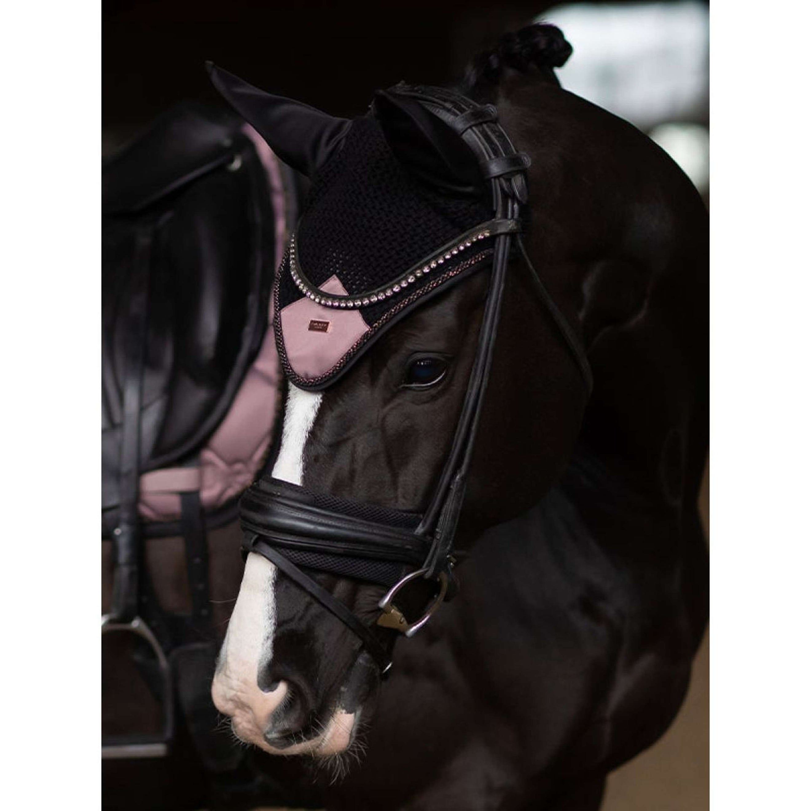 Equestrian Stockholm Fliegenhaube Anemone