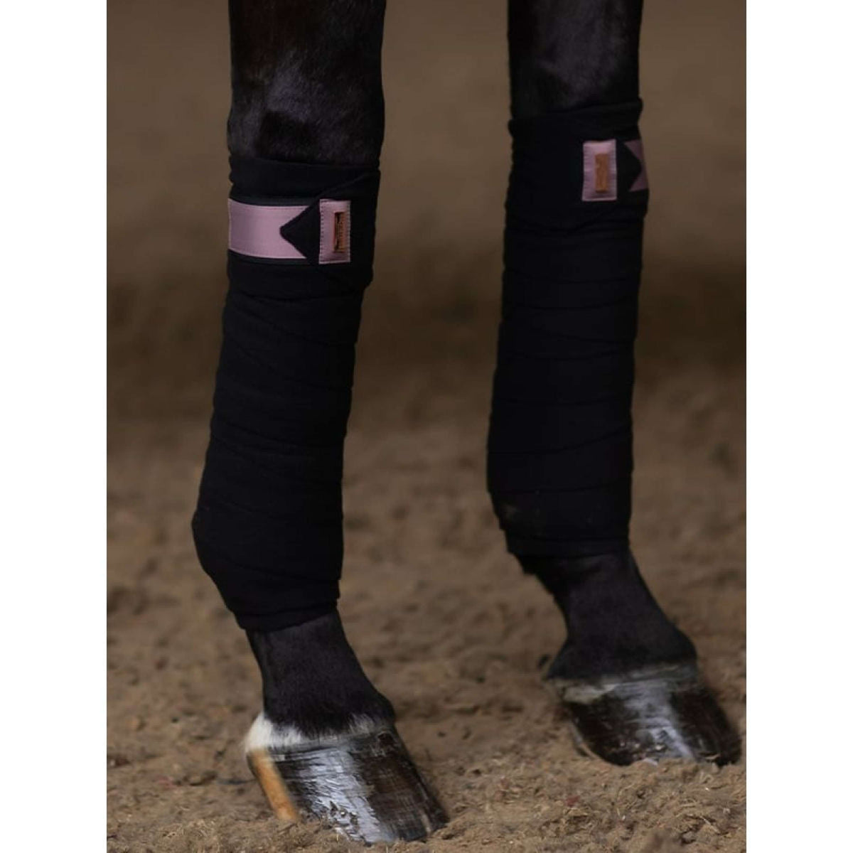 Equestrian Stockholm Bandagen Anemone