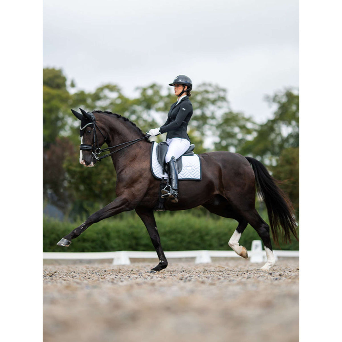 Equestrian Stockholm Schabracke Modern Dressur Weiß/Schwarz