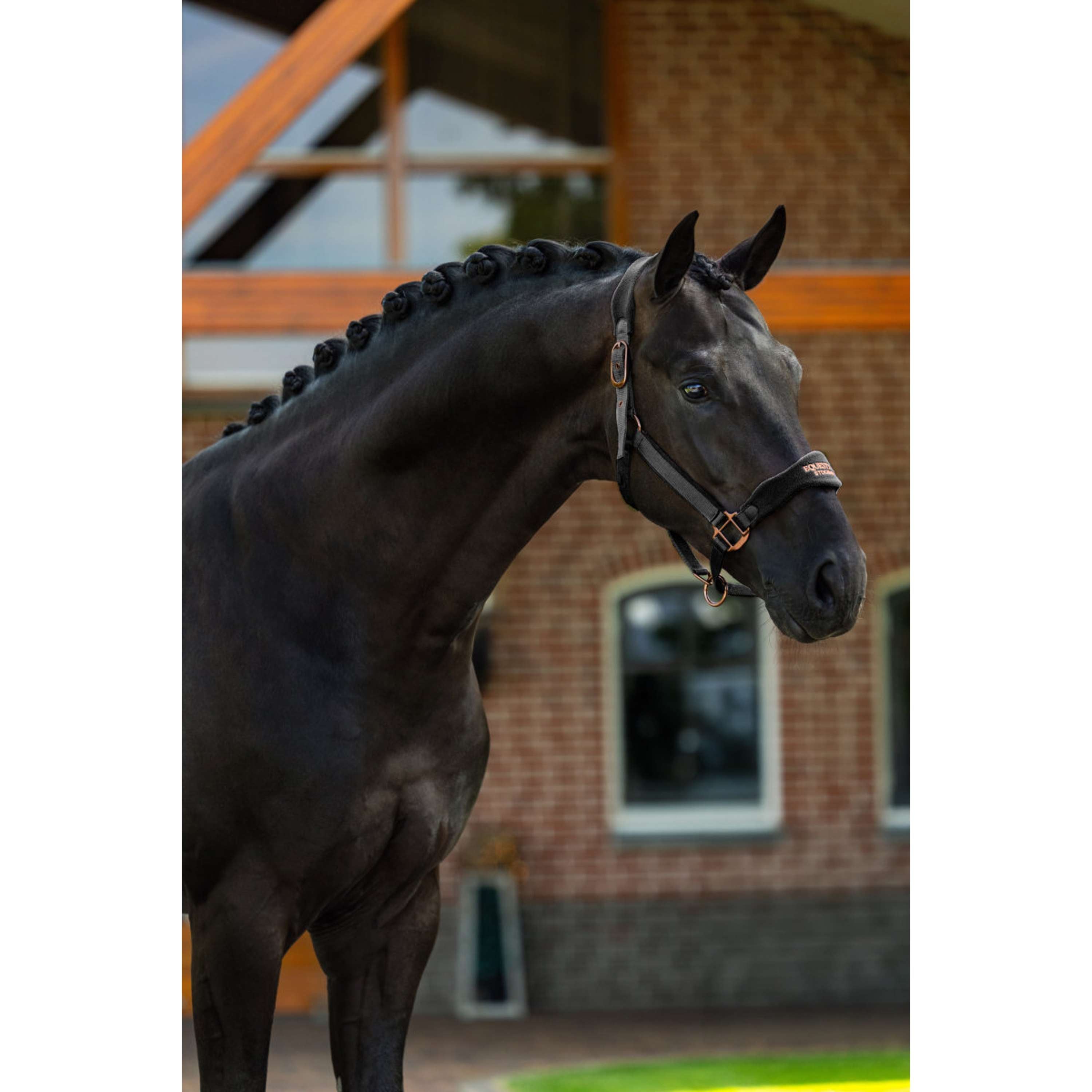 Equestrian Stockholm Halfter Anatomic Fleece Schwarz/Blush