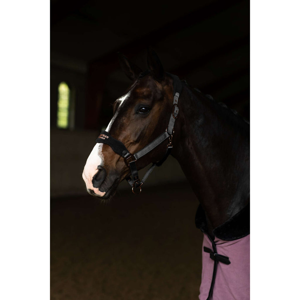 Equestrian Stockholm Halfter Anatomic Fleece Schwarz/Blush