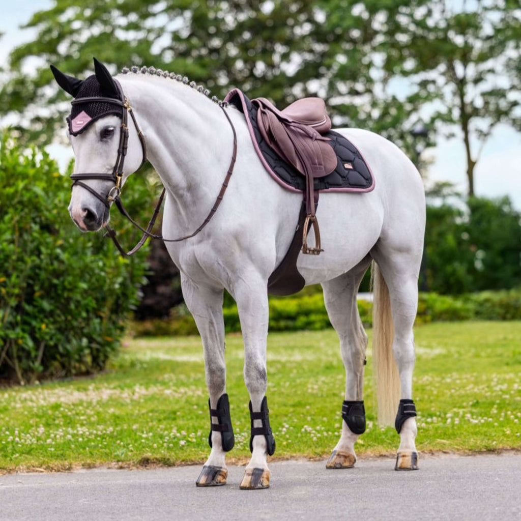 Equestrian Stockholm Schabracke Springen Schwarz/Blush