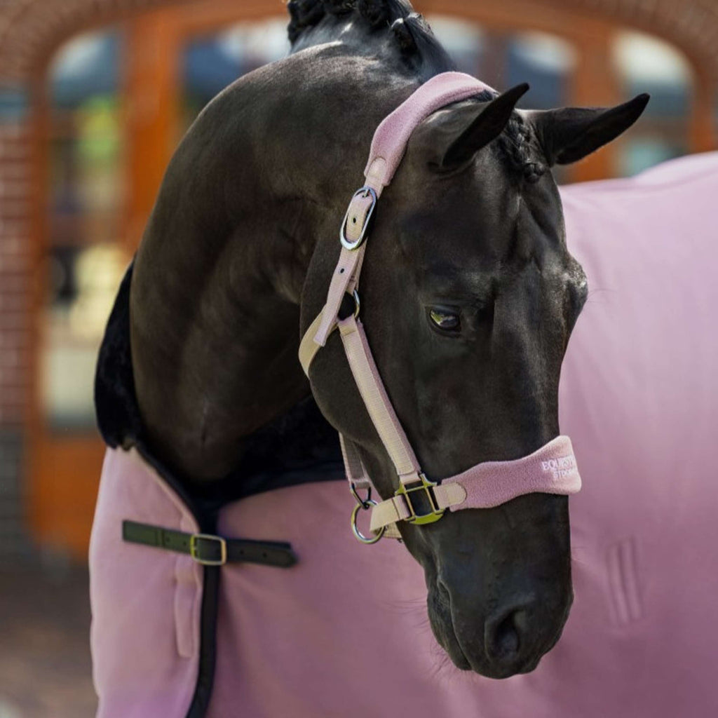 Equestrian Stockholm Halfter Anatomic Fleece Blush