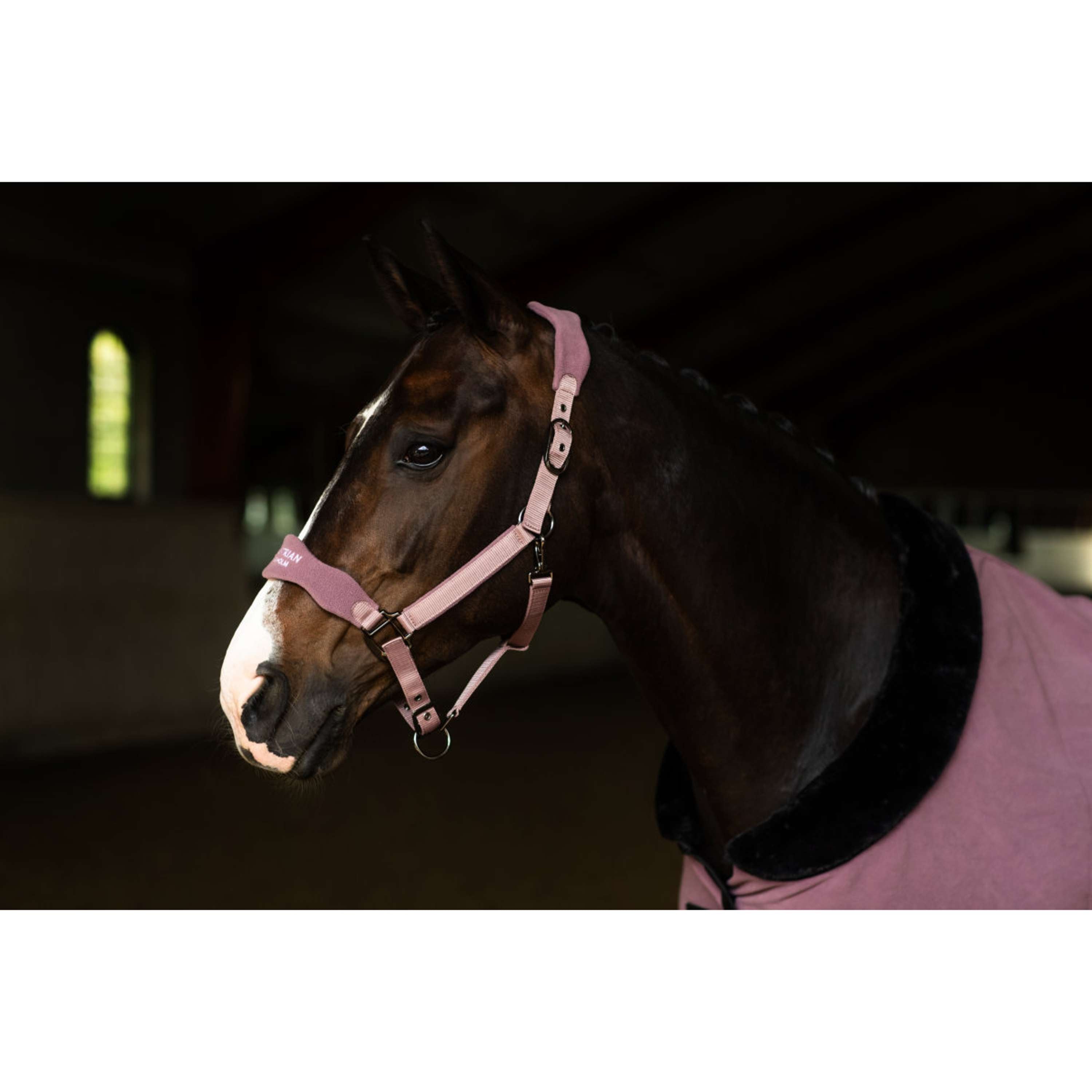 Equestrian Stockholm Halfter Anatomic Fleece Blush