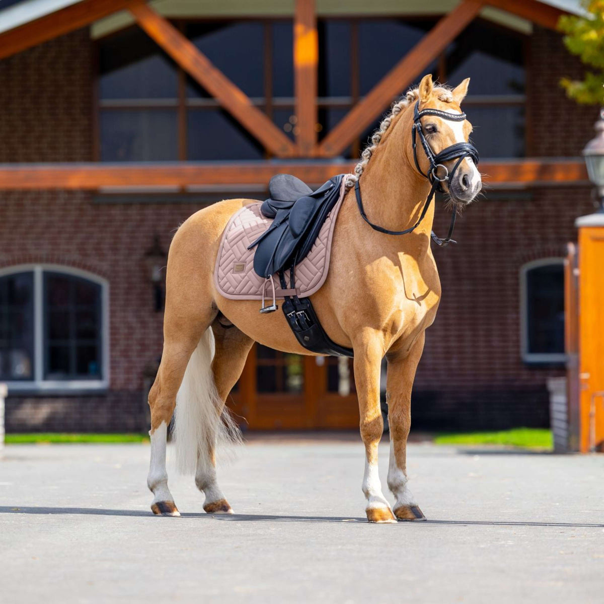Equestrian Stockholm Schabracke Modern Dressur Midsummer Blush