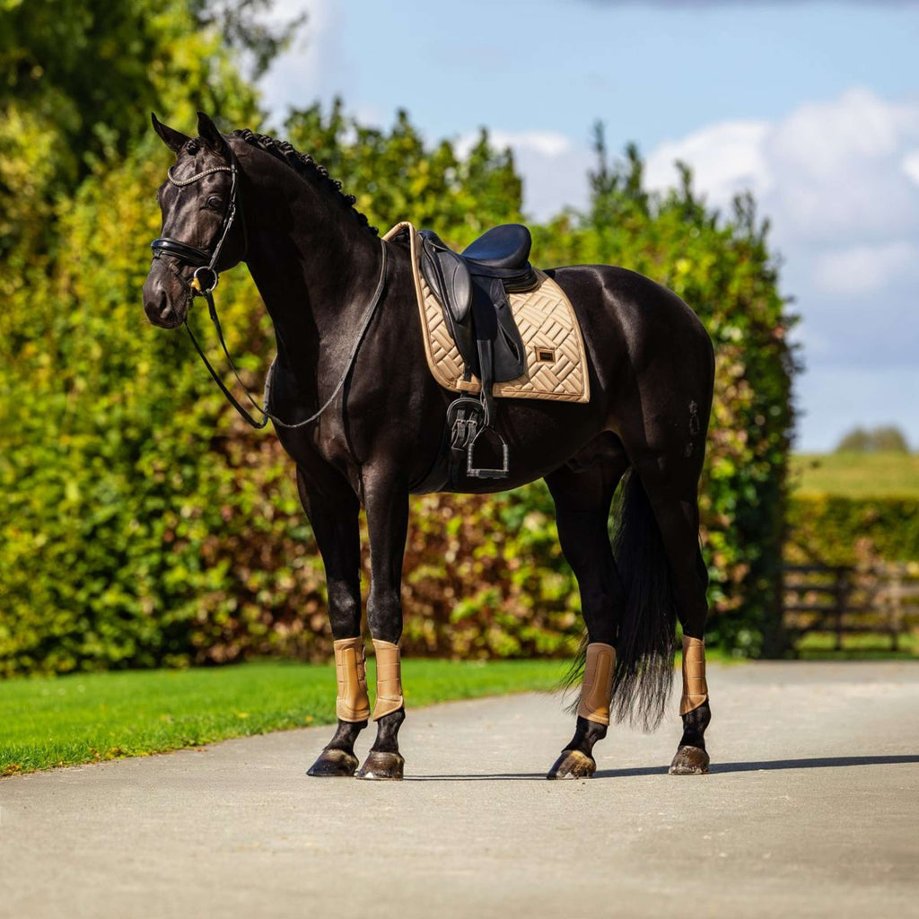 Equestrian Stockholm Gamaschen Classic Mesh Midsummer Glow