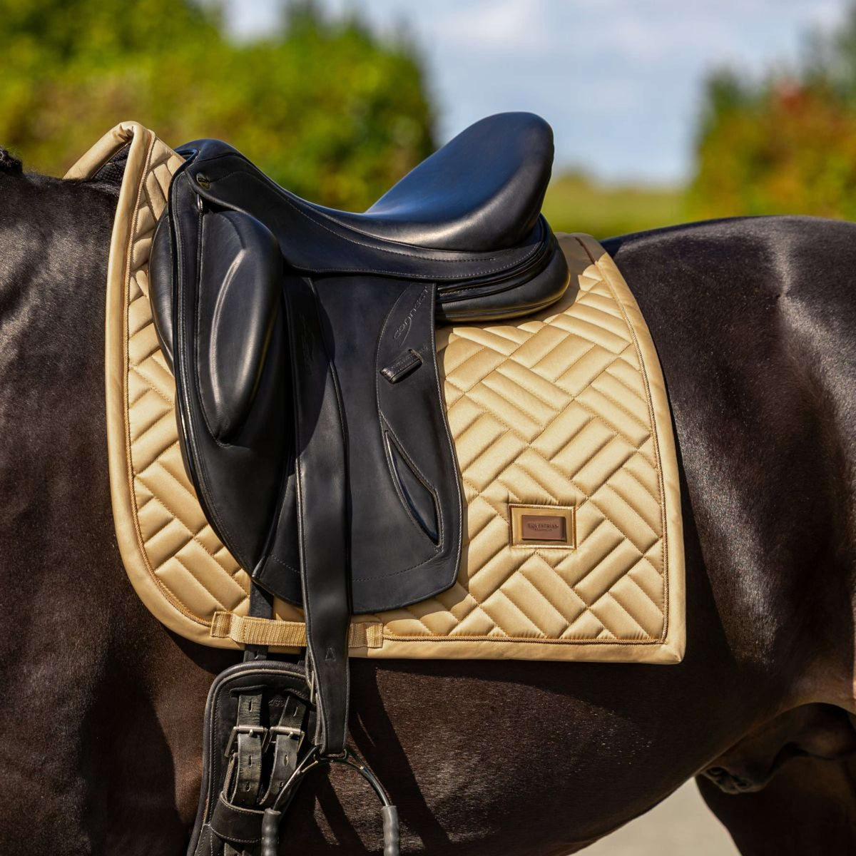 Equestrian Stockholm Schabracke Modern Dressur Midsummer Glow