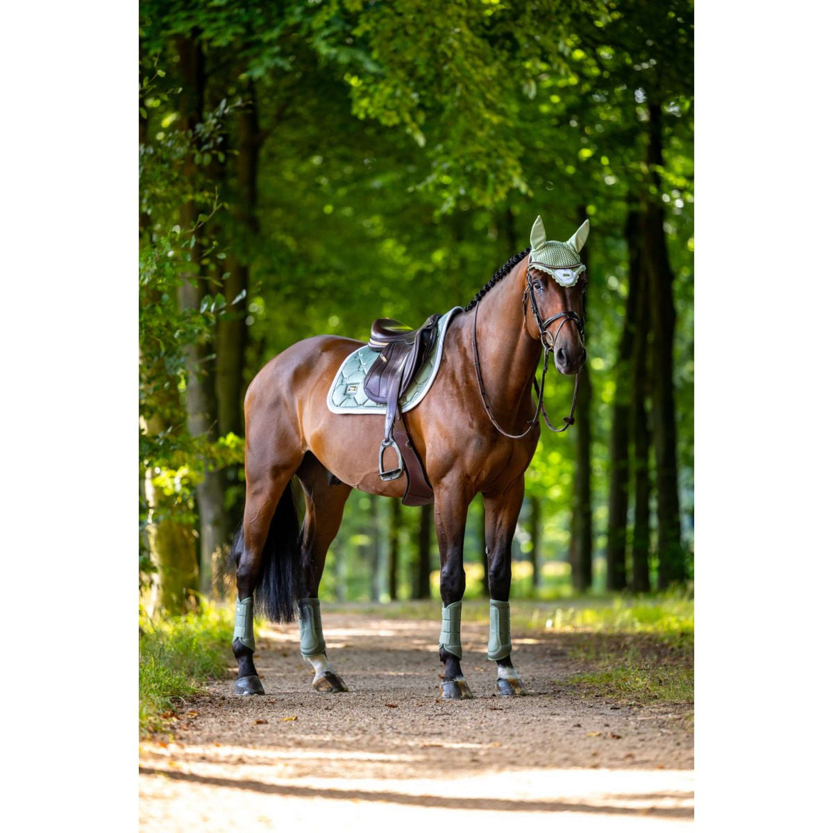 Equestrian Stockholm Gamaschen Classic Mesh Pistachio White