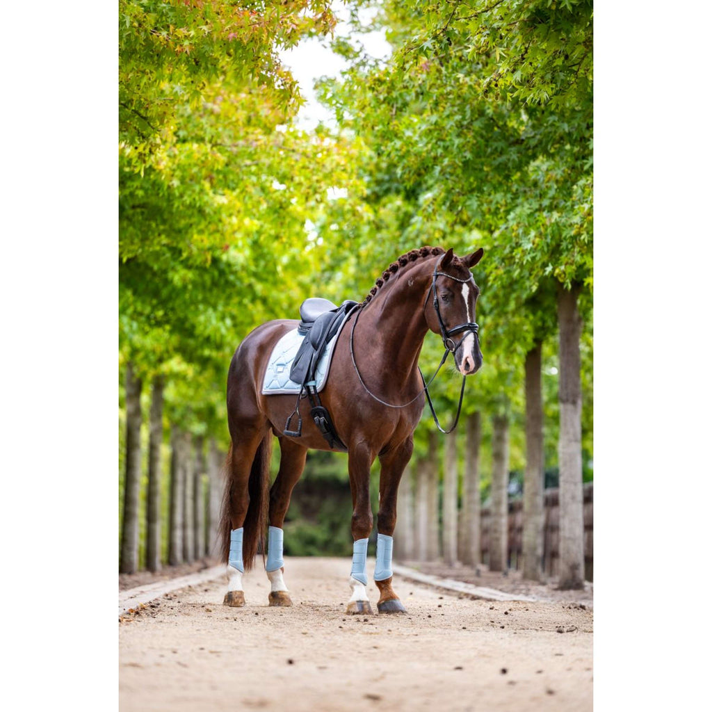 Equestrian Stockholm Schabracke Dressur Ice Blue