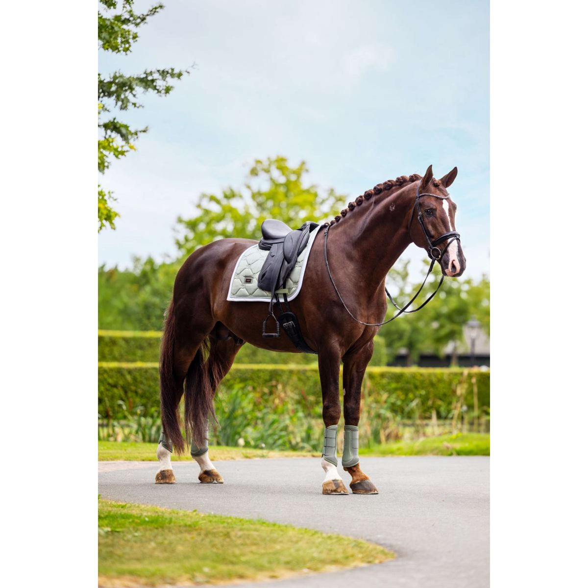 Equestrian Stockholm Schabracke Dressur Pistachio White