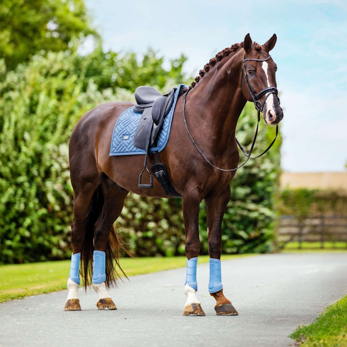 Equestrian Stockholm Gamaschen Classic Mesh Midsummer Blue