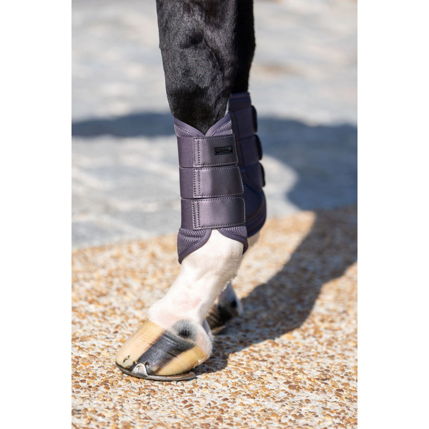 Equestrian Stockholm Gamaschen Classic Mesh Dark Violet Equestrian Stockholm Gamaschen Classic Mesh Dark Violet