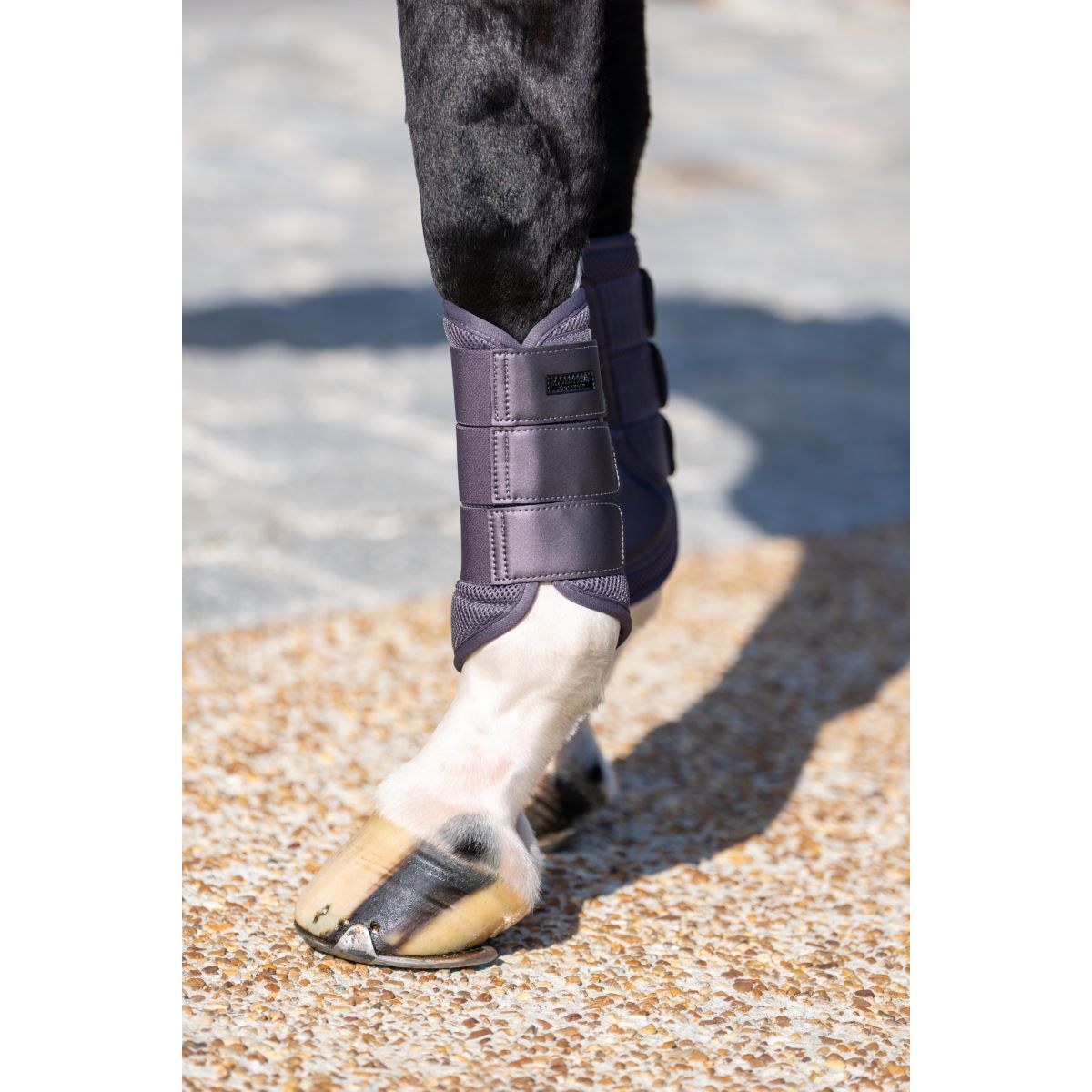 Equestrian Stockholm Gamaschen Classic Mesh Dark Violet