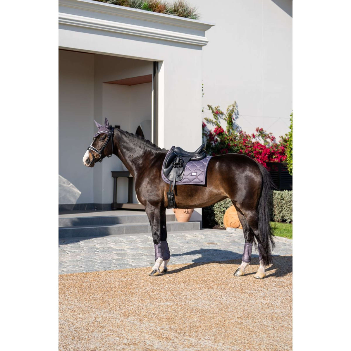 Equestrian Stockholm Gamaschen Classic Mesh Dark Violet