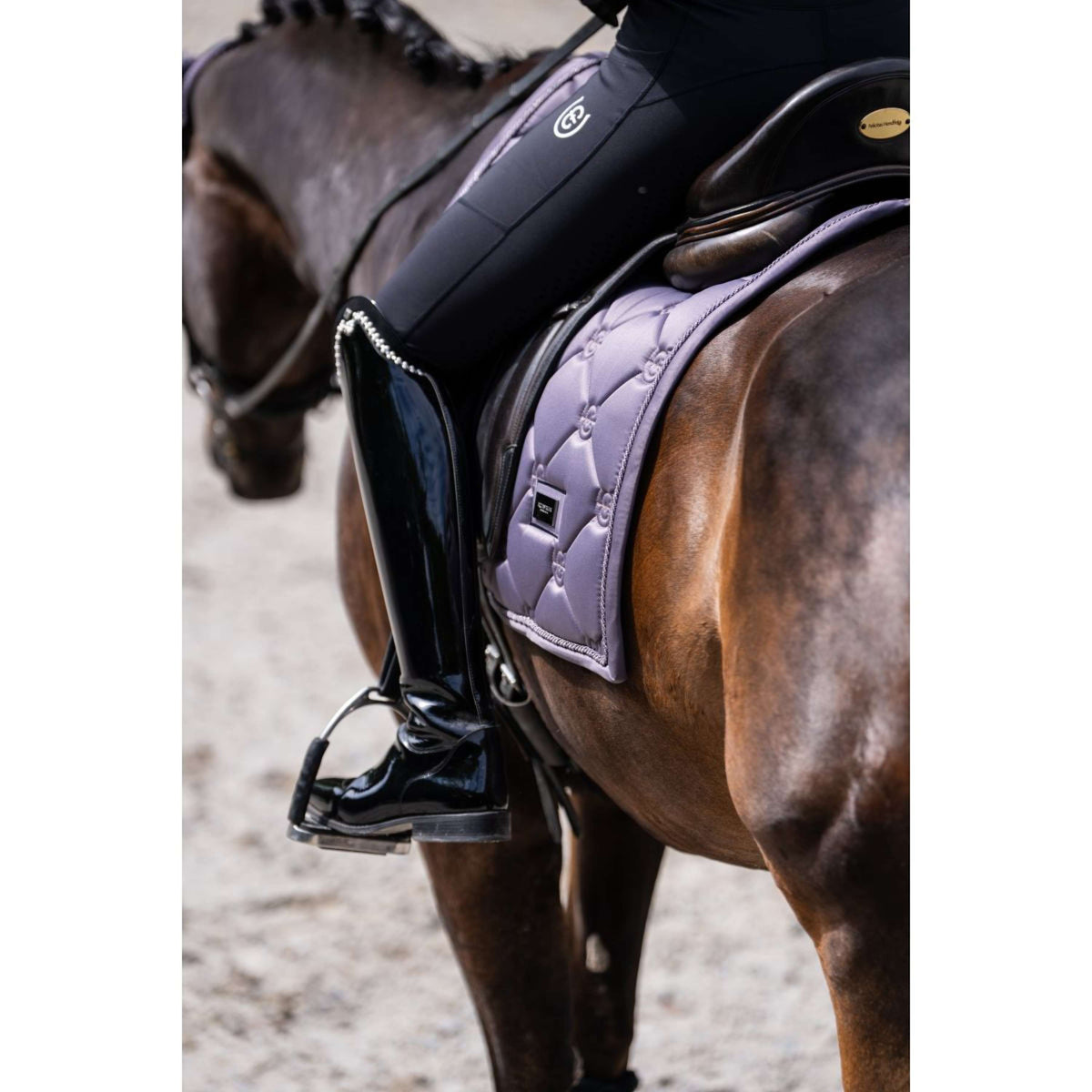 Equestrian Stockholm Schabracke Dressur Dark Violet