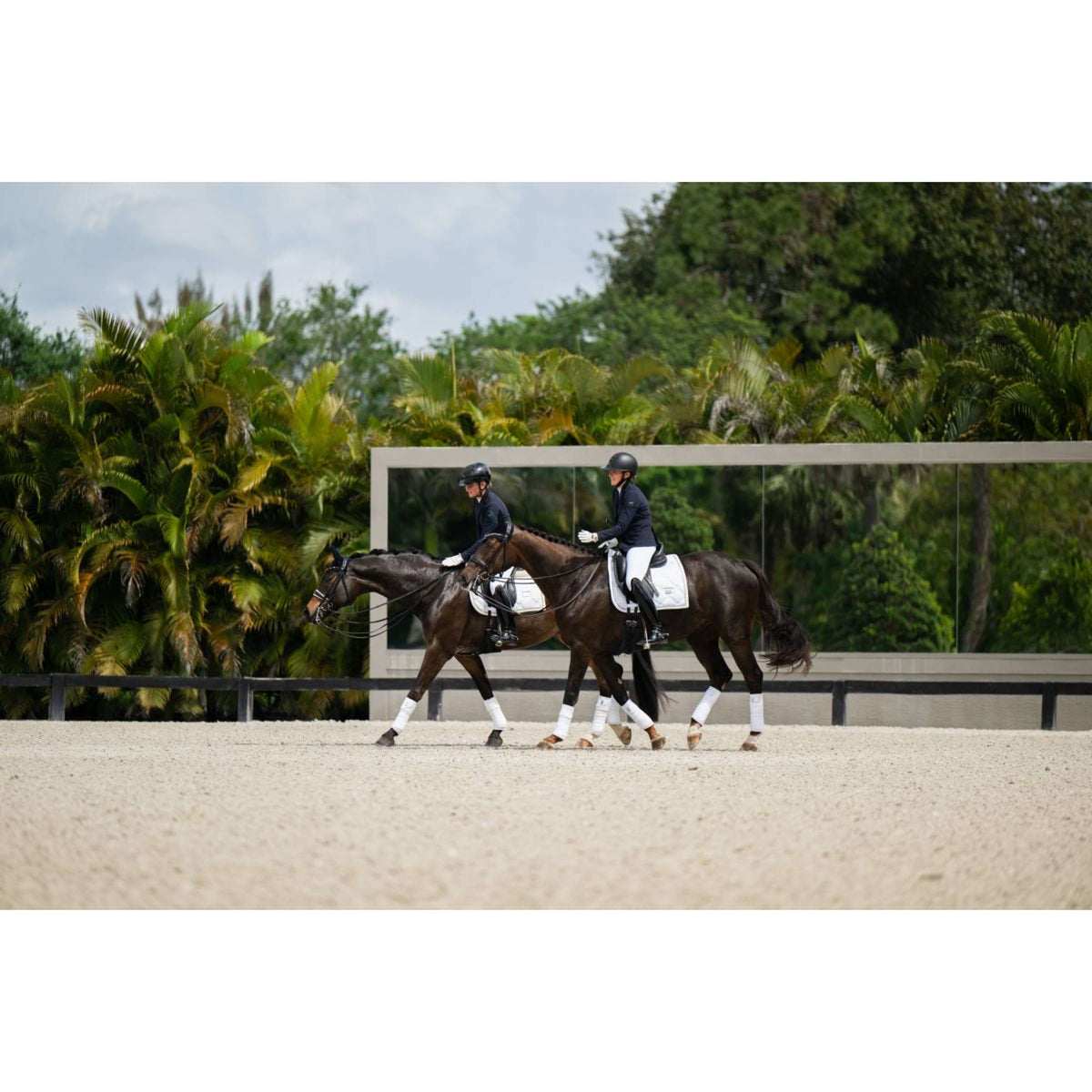 Equestrian Stockholm Schabracke Dressur White Silver