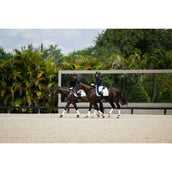 Equestrian Stockholm Schabracke Dressur White Silver