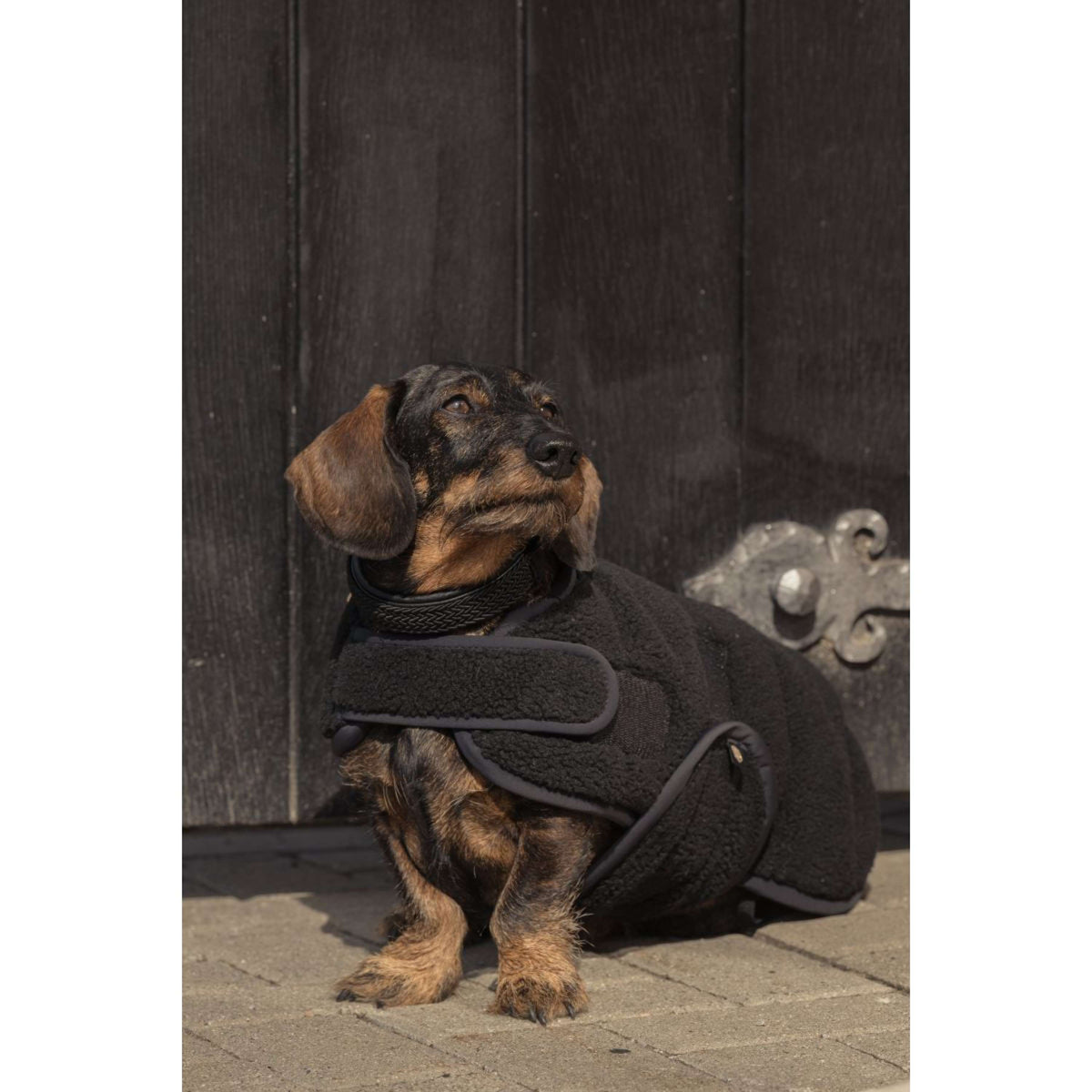 Eskadron Hundedecke Heritage Teddy Schwarz