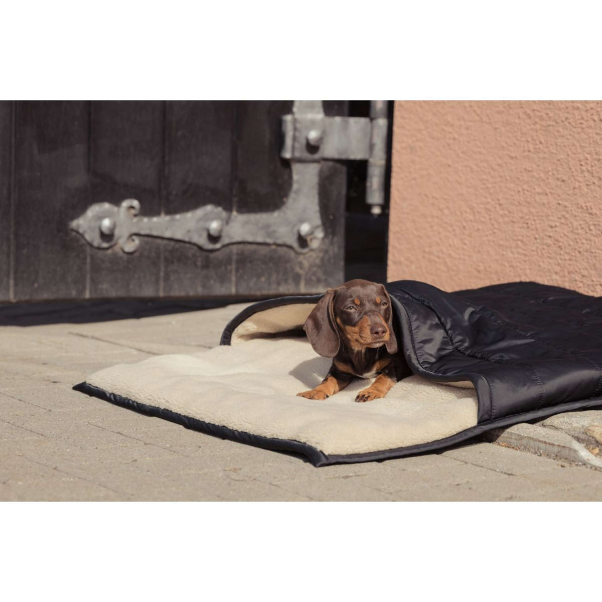 Eskadron Hundebett Heritage Teddyfleece Schwarz