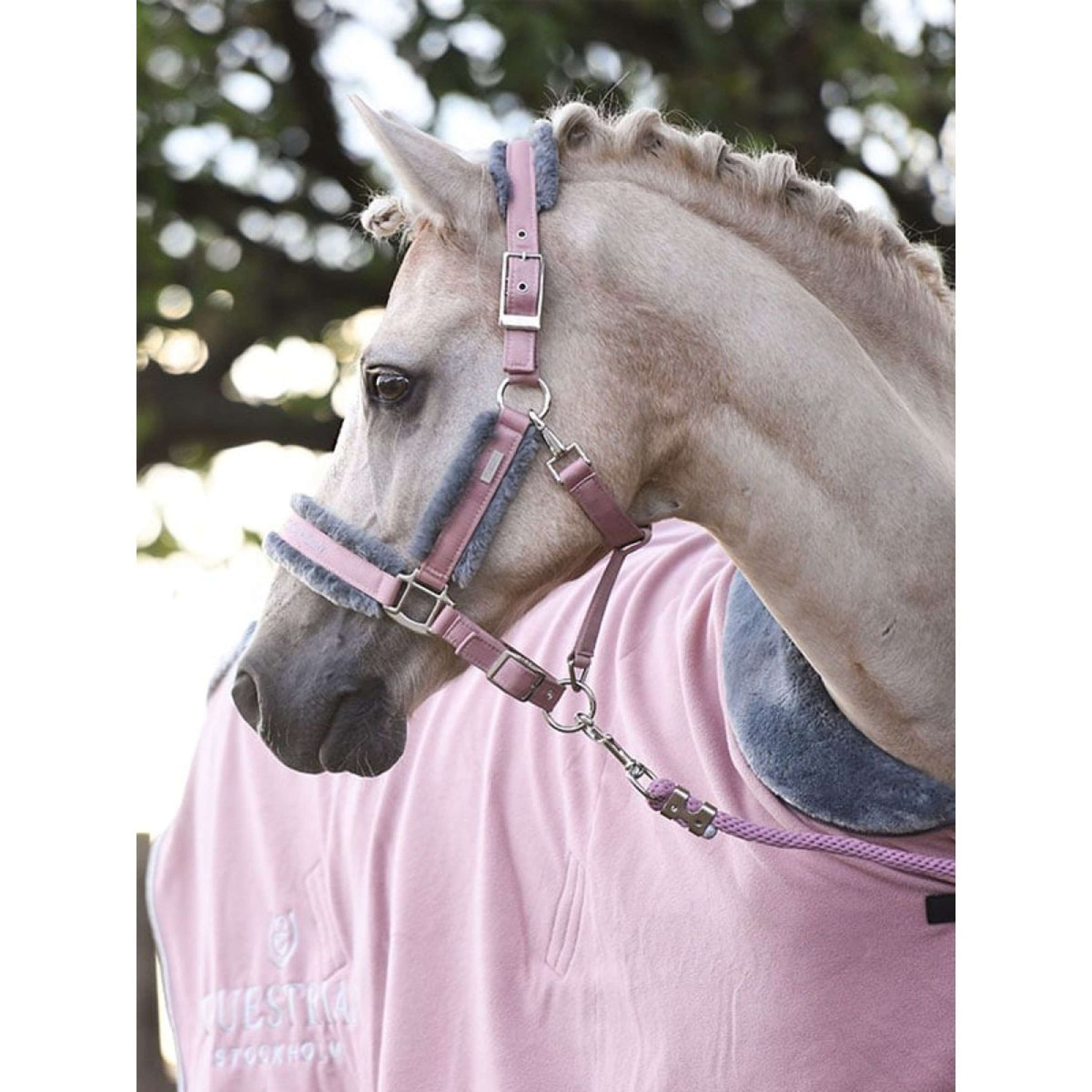 Equestrian Stockholm Halfter & Strick Fur Rosa