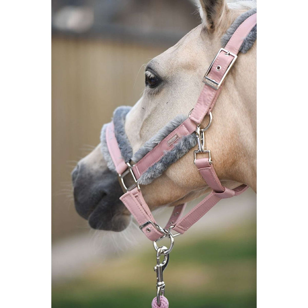 Equestrian Stockholm Halfter & Strick Fur Rosa