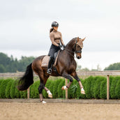 Equestrian Stockholm Schabracke Line Dressur Champagne