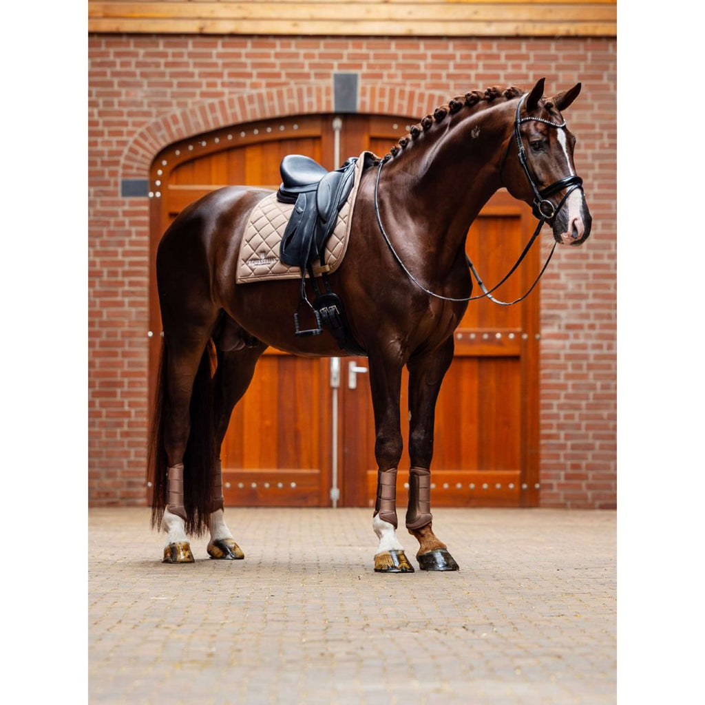Equestrian Stockholm Gamaschen Classic Mesh Champagne