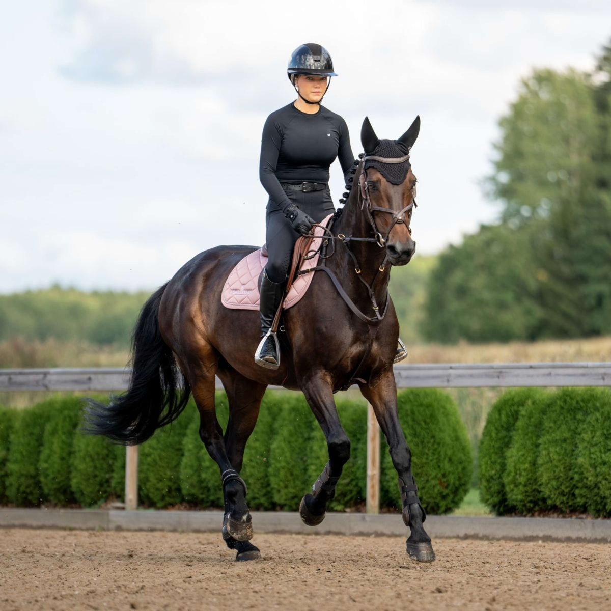 Equestrian Stockholm Schabracke Line Springen Rosa