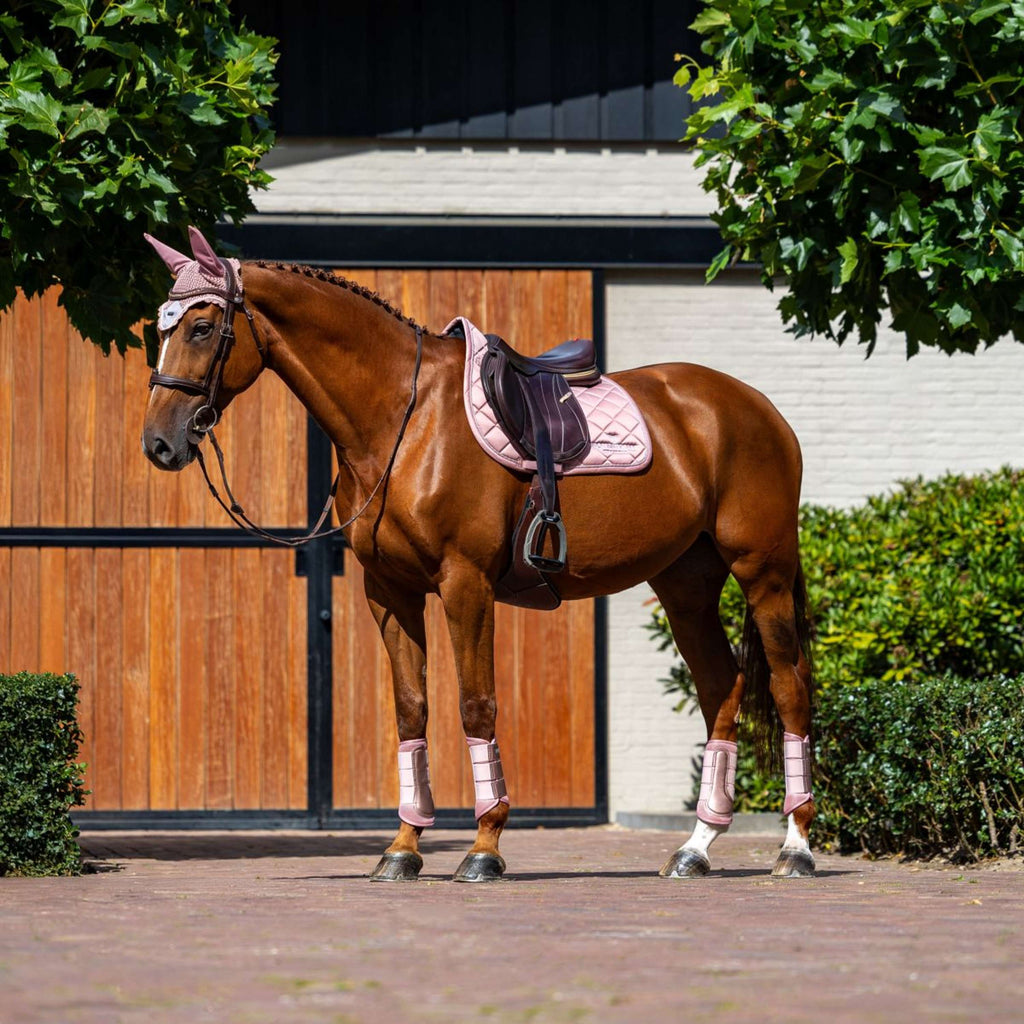 Equestrian Stockholm Schabracke Line Springen Rosa