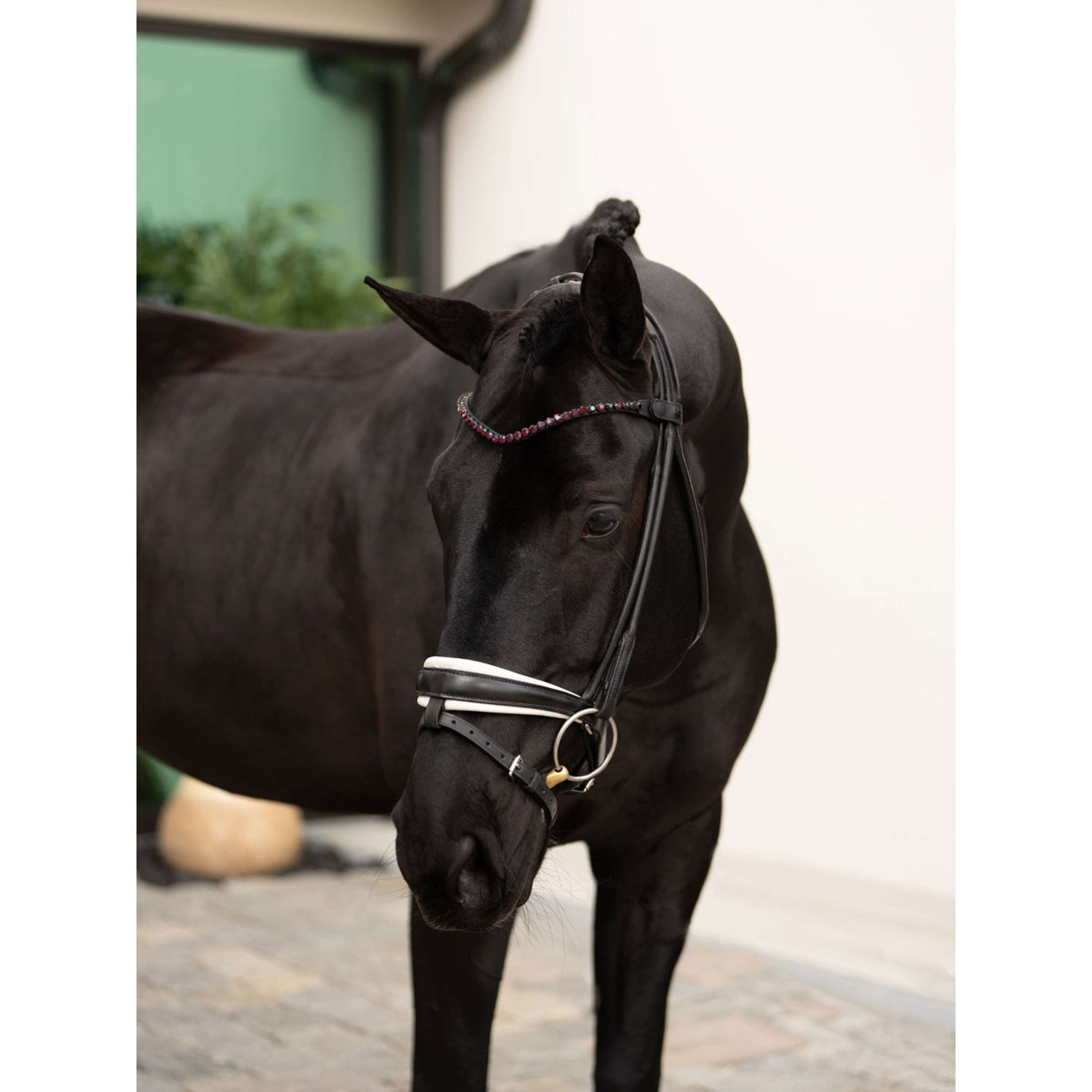 Equestrian Stockholm Stirnriemen Faded 8mm Merlot