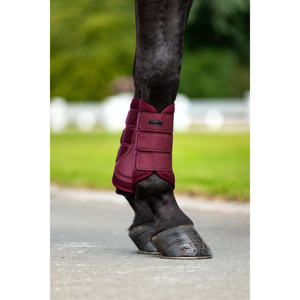 Equestrian Stockholm Gamaschen Mesh Merlot