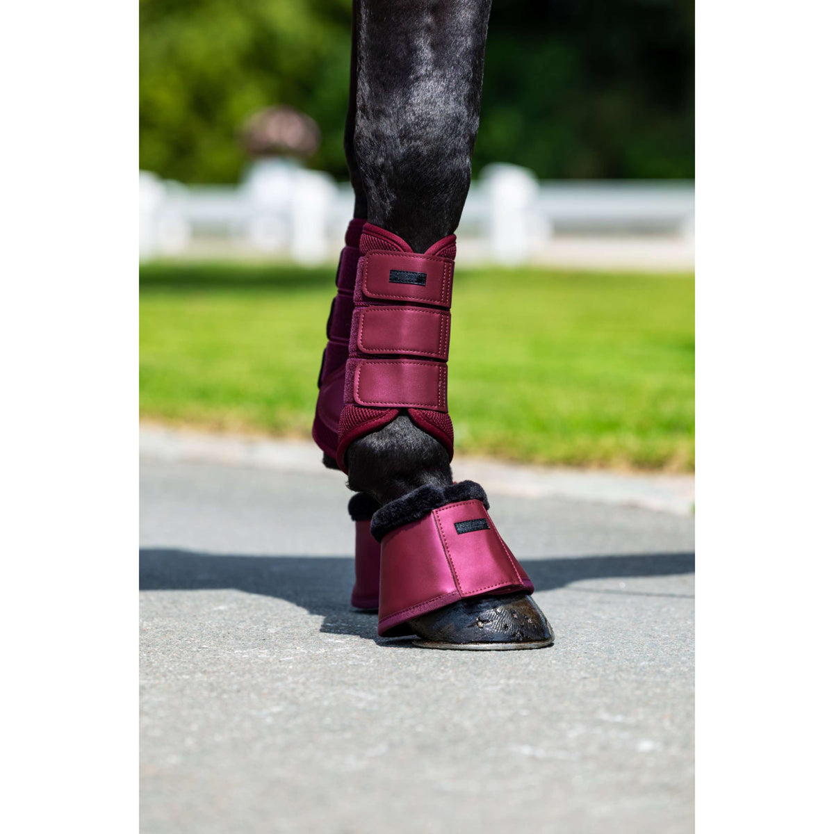 Equestrian Stockholm Hufglocken Merlot