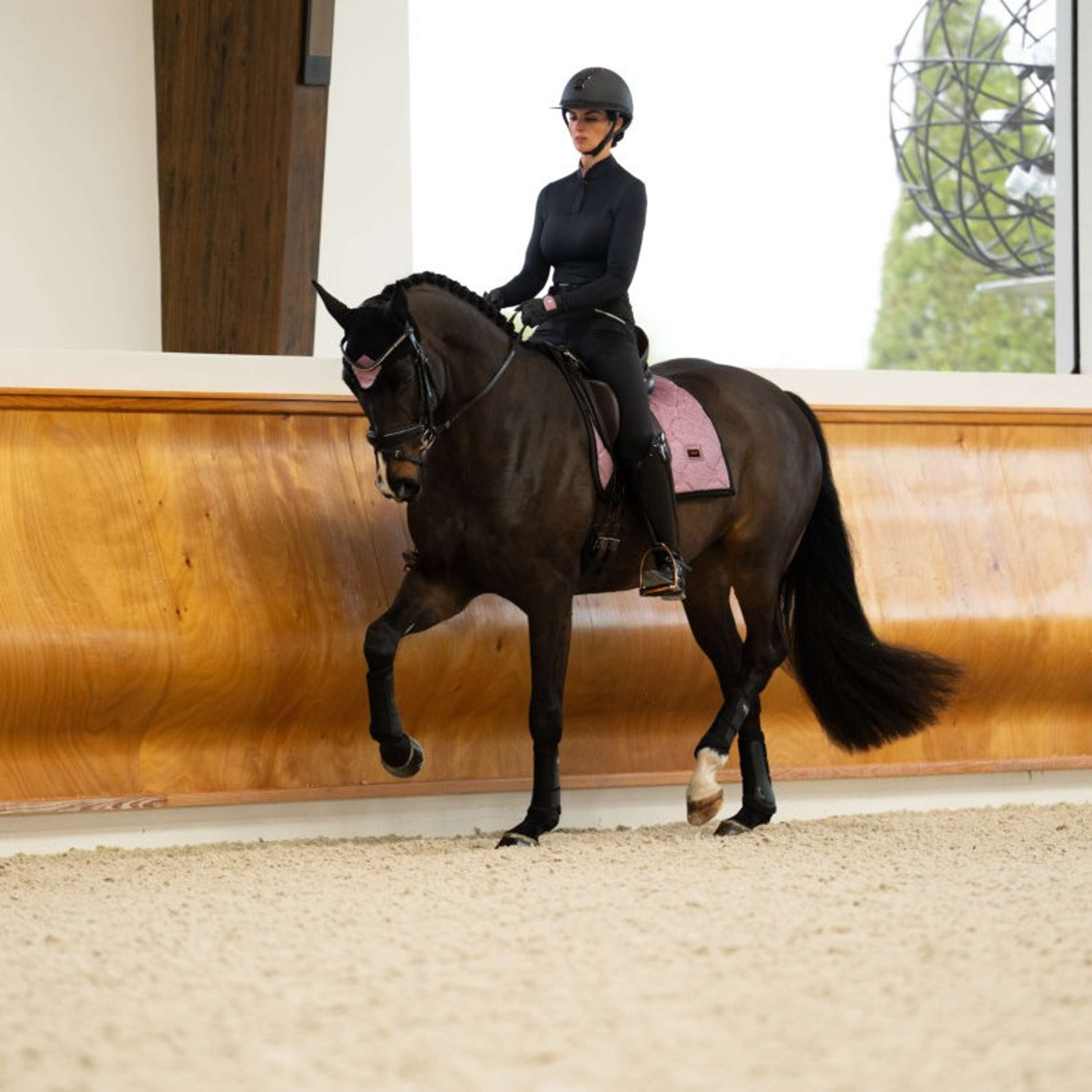 Equestrian Stockholm Schabracke Dressur Pink Glimmer